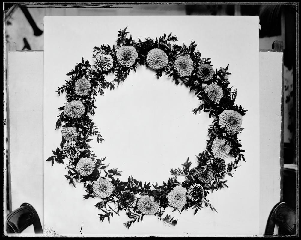 wreath of dahlias, glass negative