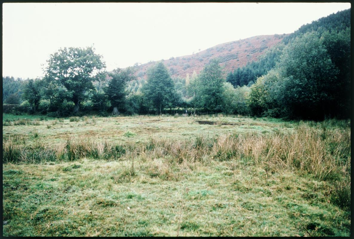 Find spot of the Dolanog wheel