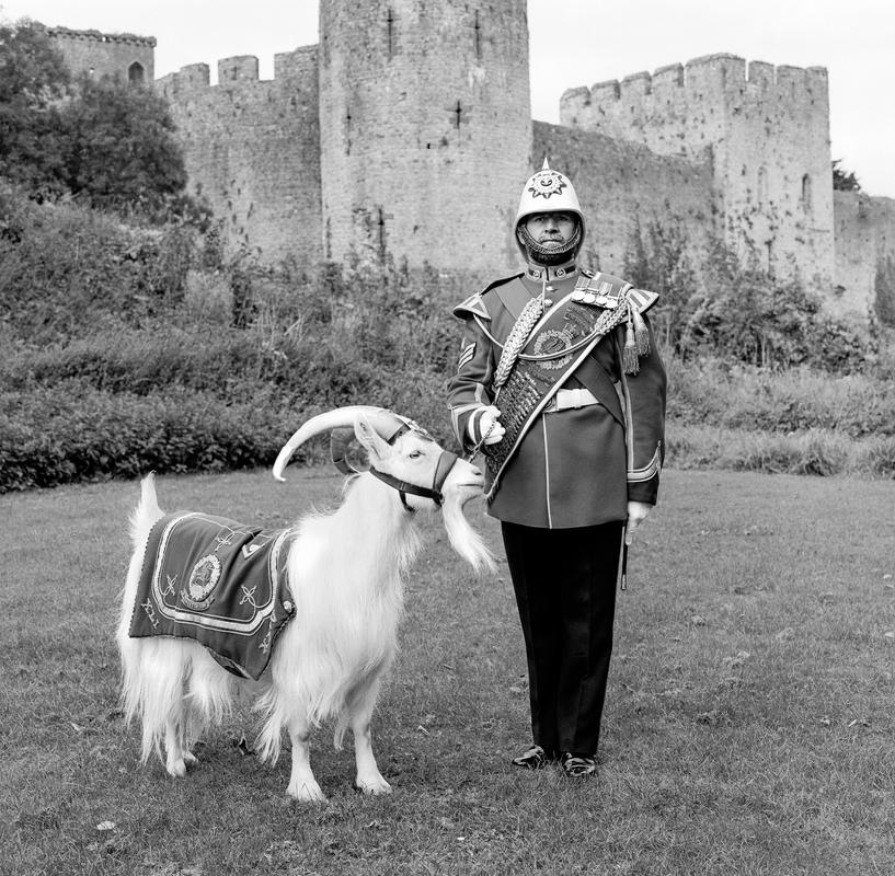 Shenkin II &amp; Sergeant David Joseph (Goat Major). Photo shot: Chepstow, 18th September 2002. SHENKIN II - Place and date of birth: Hereford (Royal Herd) 1997. Main occupation: Army. First language: Goat. Other languages: None. Lived in Wales: Always. SGT DAVID JOSEPH - Place and date of birth: Winslow 1953. Main occupation: Army. First language: English. Other languages: None. Lived in Wales: Always.