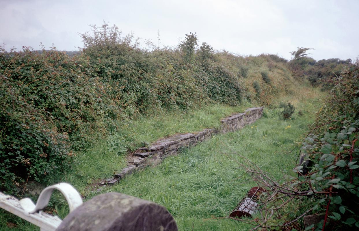 Old railway platform at Caegwyn