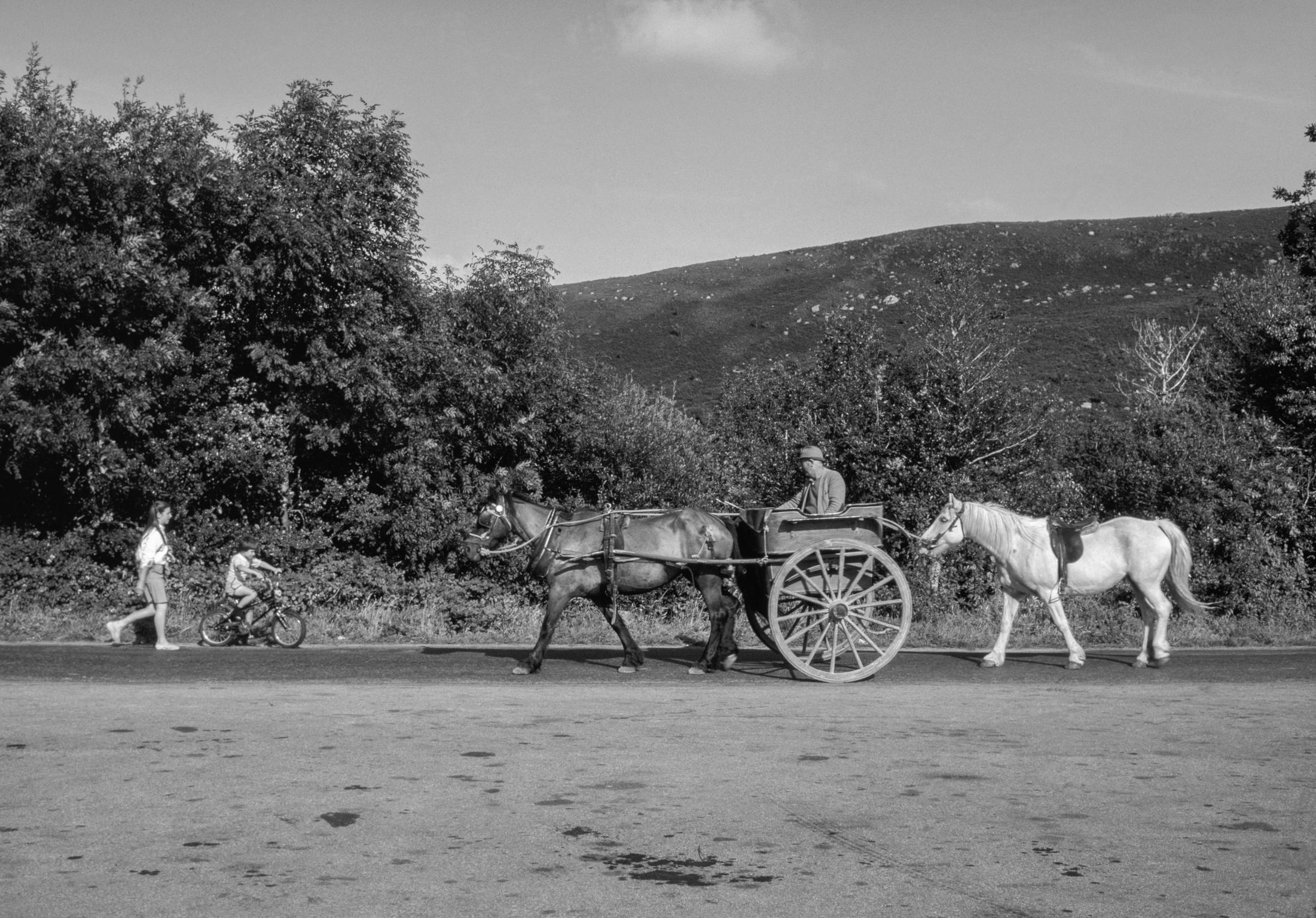 As one explores the country roads and lanes one is bound to see what for centuries has been the main form of travel and load carrying, the horse and cart. County Kerry. Ireland