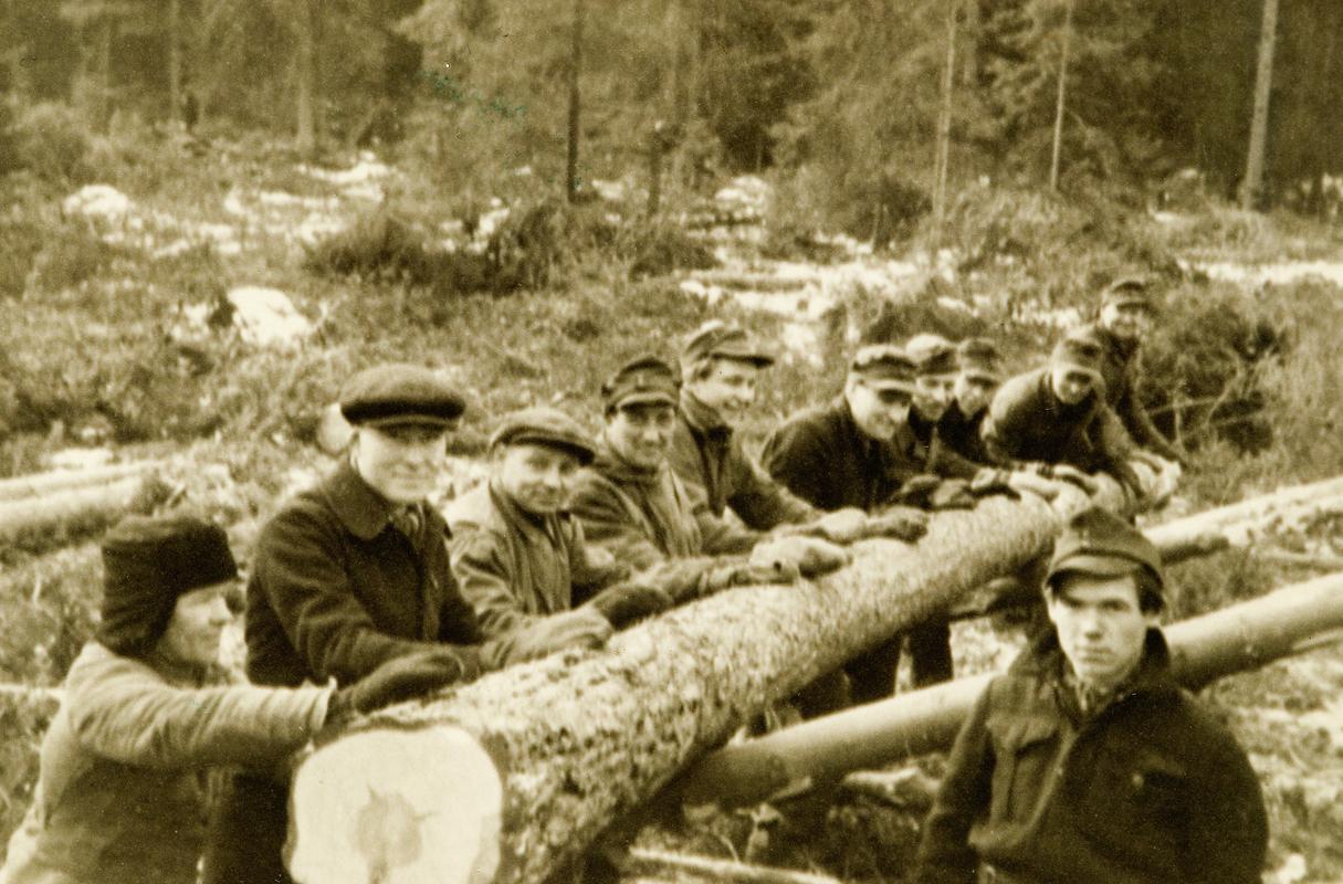 Polish soldiers &quot;logging&quot; in Germany