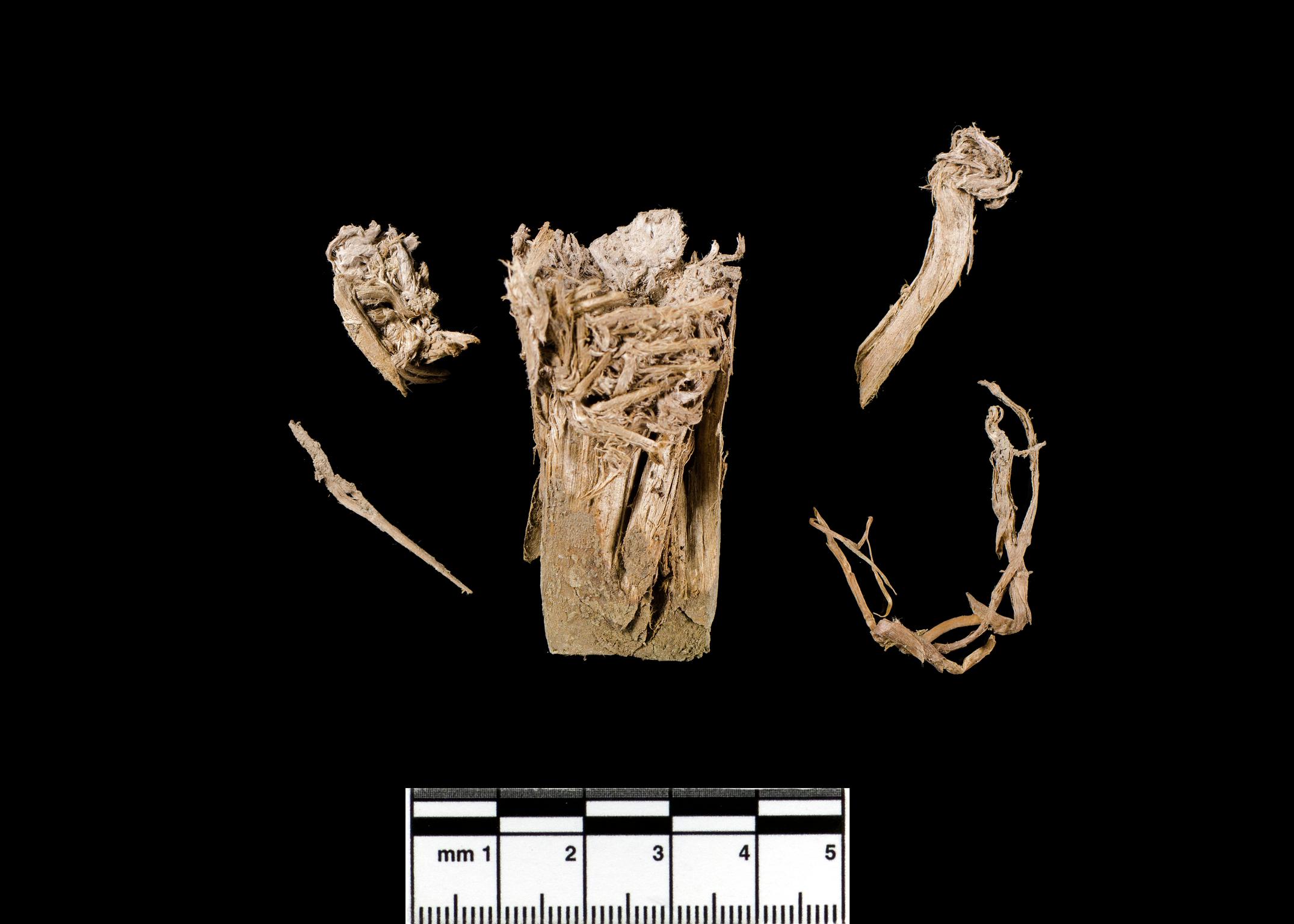 Late Bronze Age wood sample
