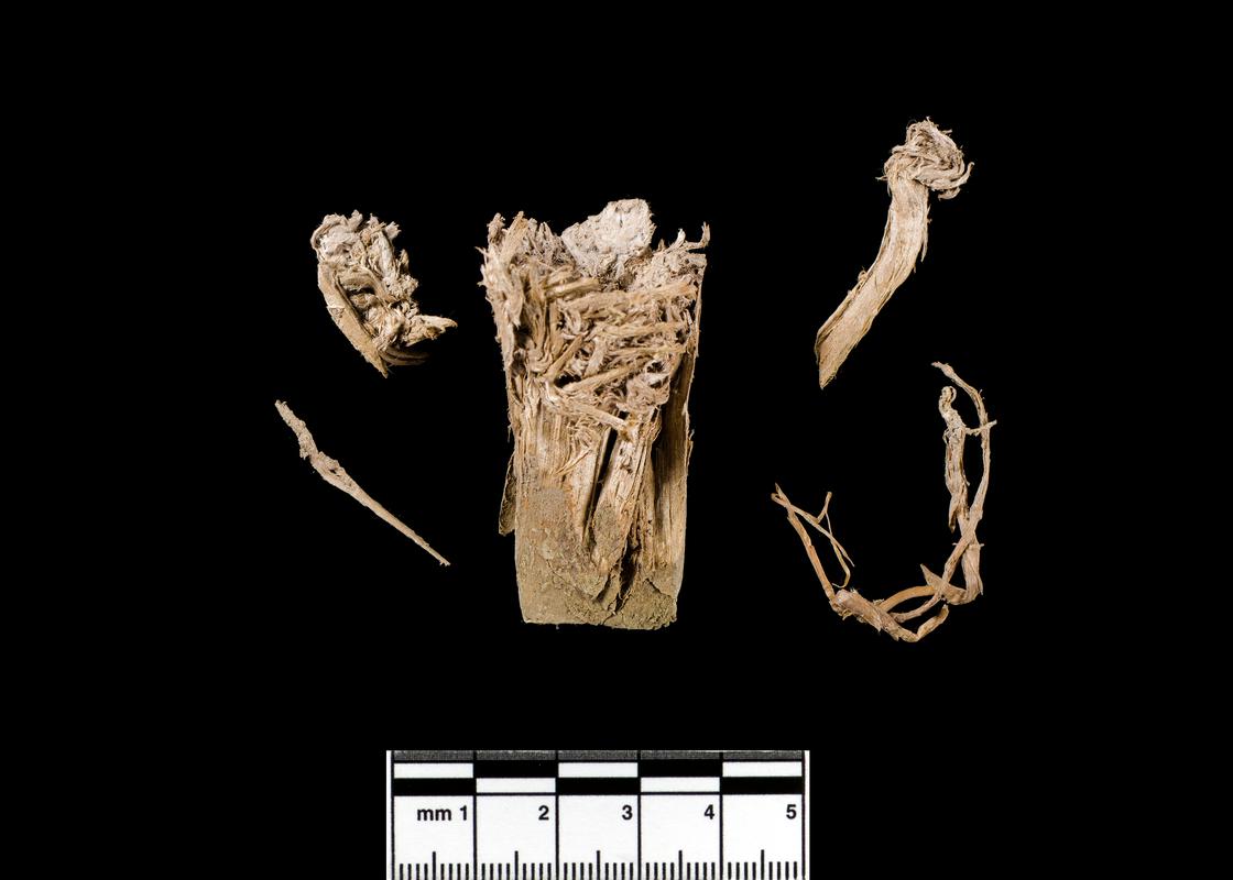 Late Bronze Age wood sample