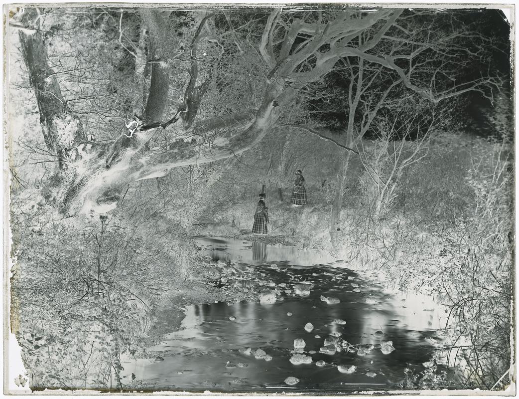Owls oak with two women, glass negative