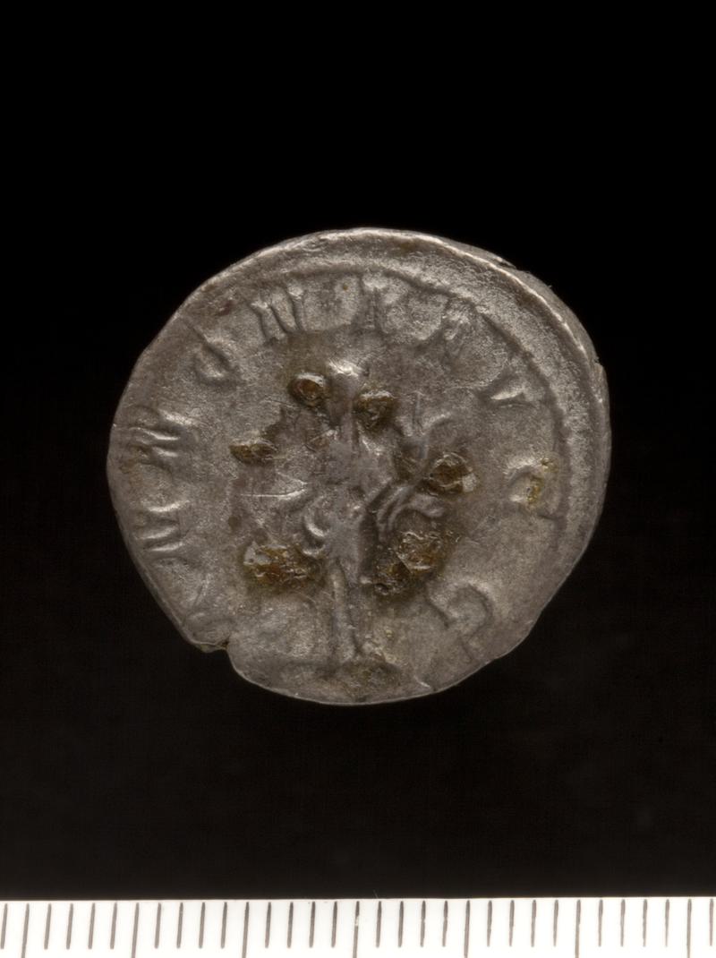 Sully Hoard I (1899)