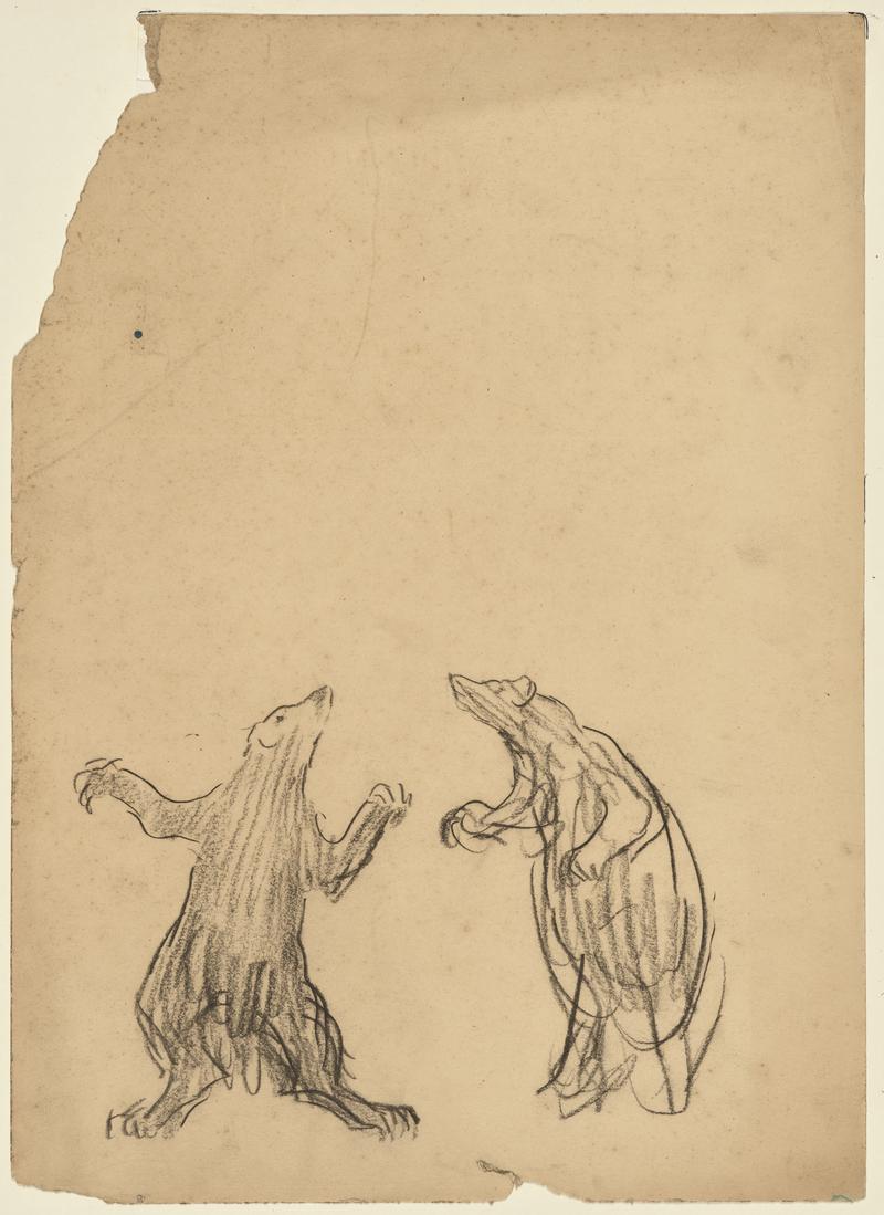 Sketches of Bears