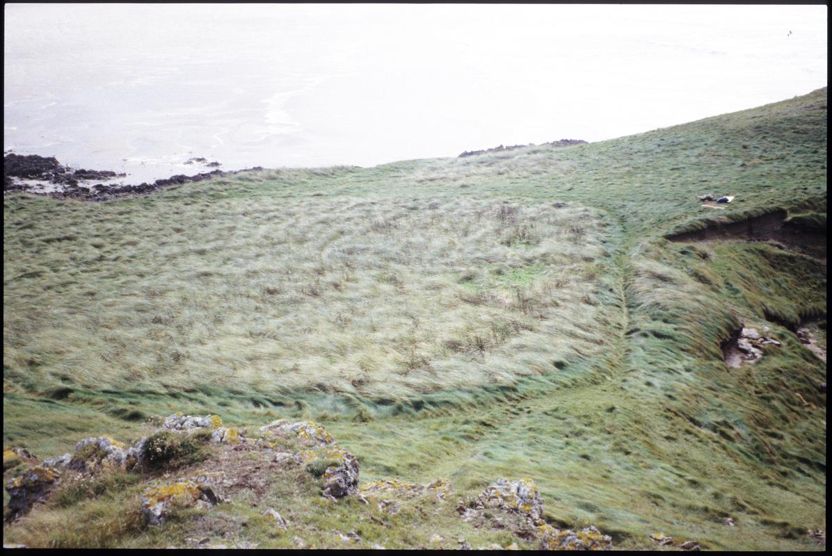 Burry Holms, Gower. 1998 Excavation area prior to fieldwork.