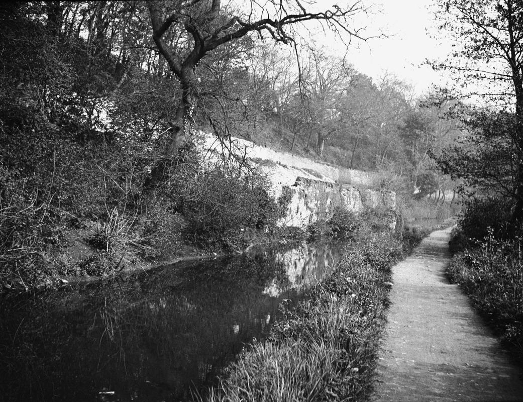 Glamorganshire Canal, negative