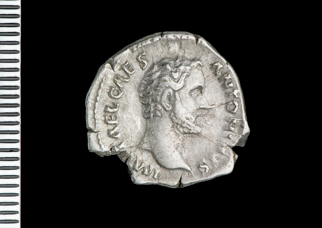 silver denarius (obv.)