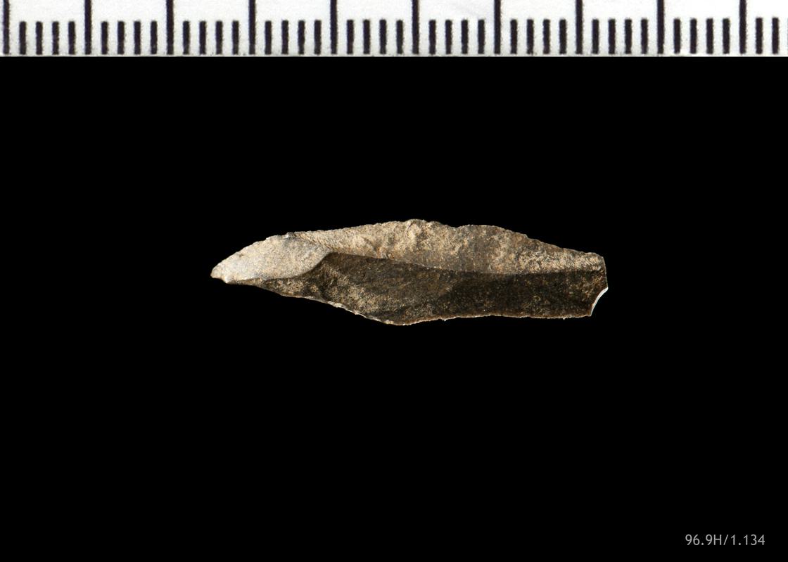 Mesolithic chert microlith