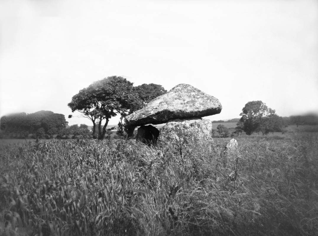 Glass plate negative; Bodowyr chambered tomb