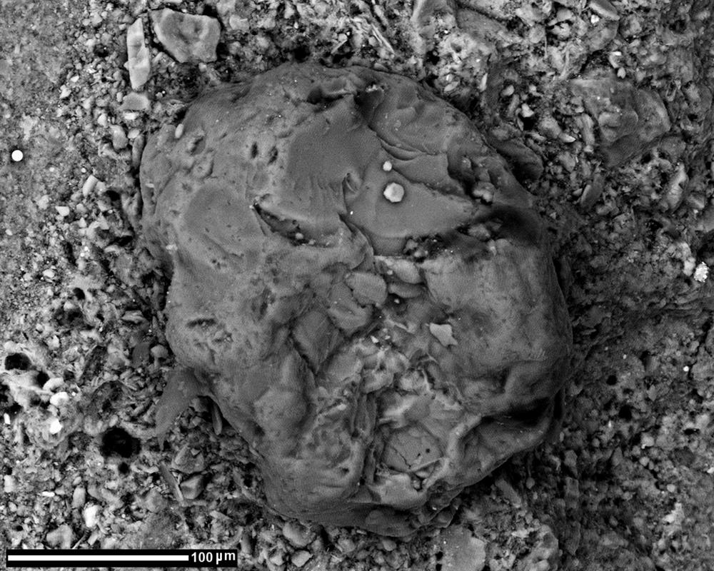 Early Mesolithic flint microlith