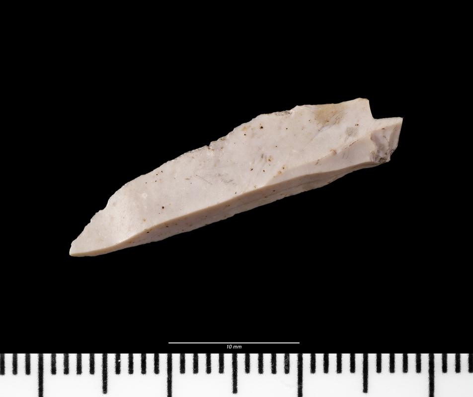 Early Mesolithic flint microlith