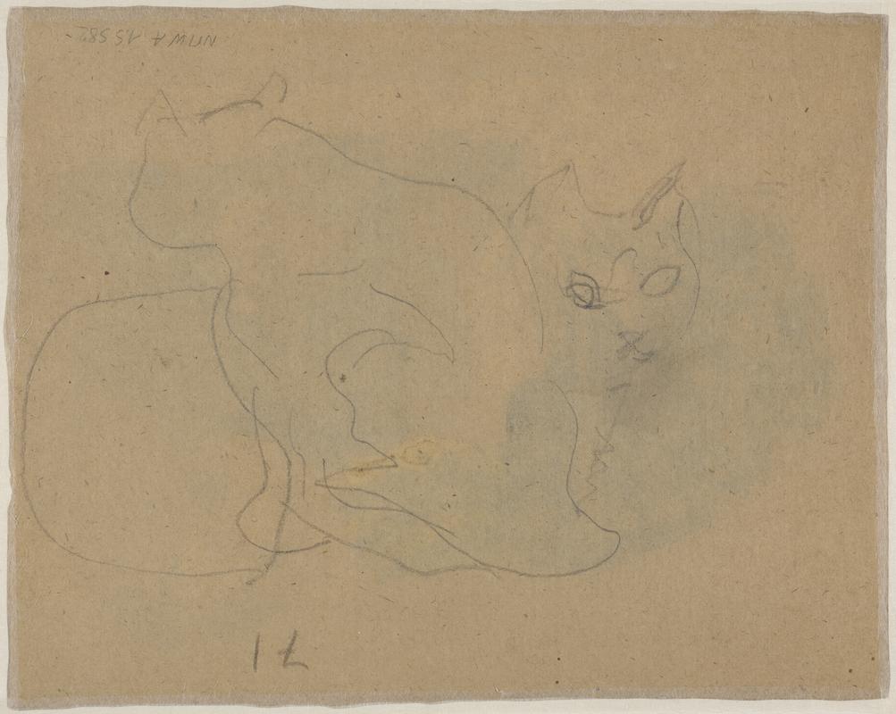 Two tortoiseshell cats