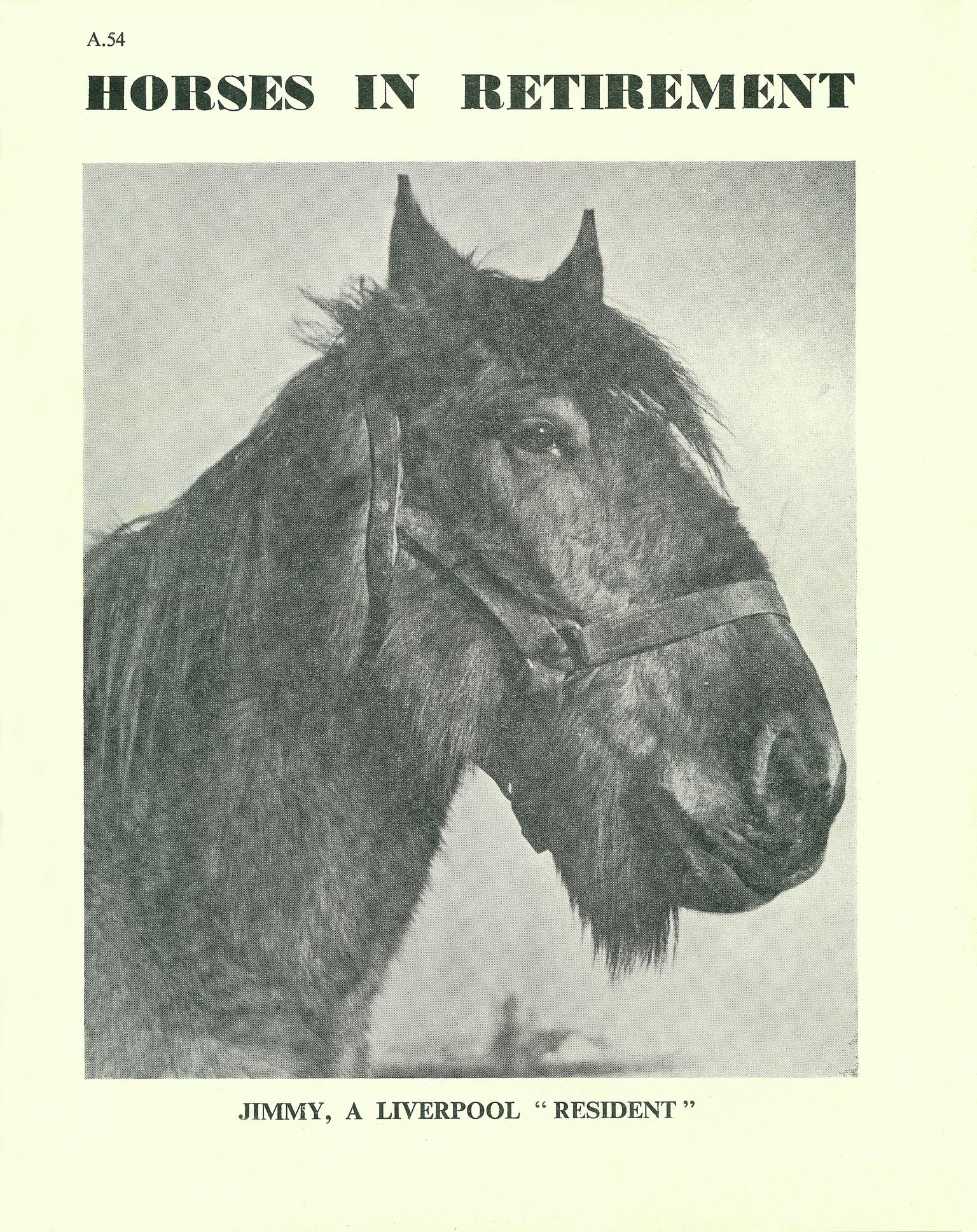 Horses in Retirement (booklet)