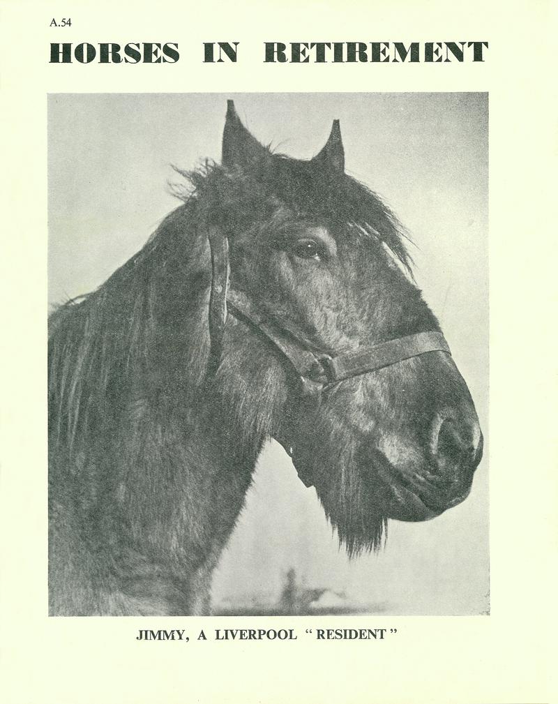 Front Cover of &quot;Horses in Retirement&quot;