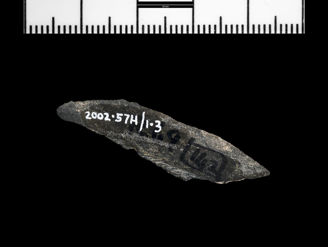 Mesolithic chert microlith