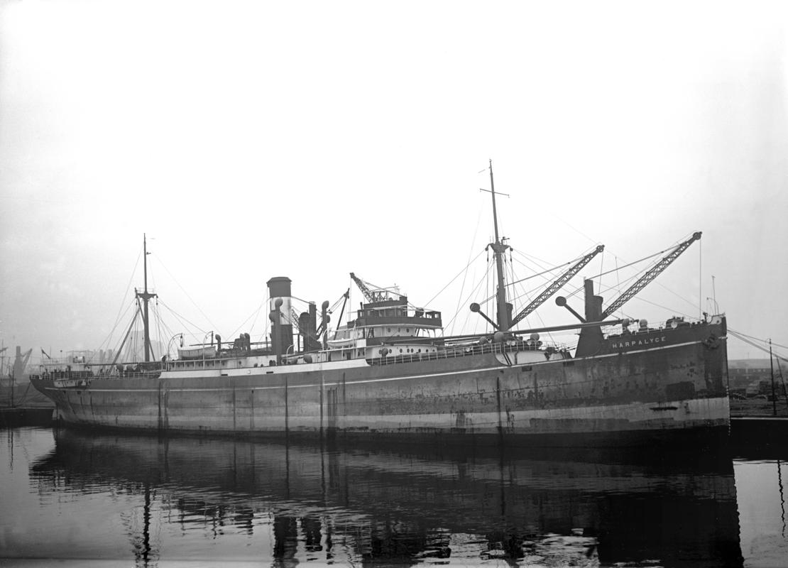 S.S. HARPALYCE, glass negative