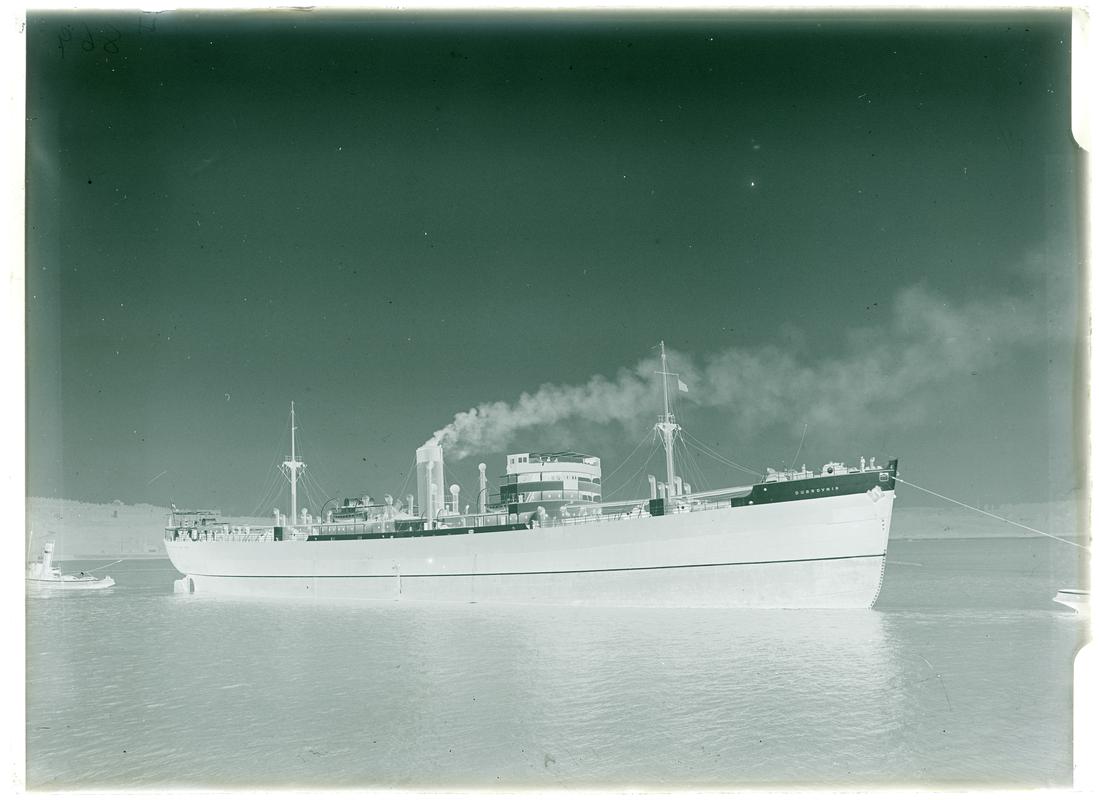 S.S. DUBROVNIK, glass negative