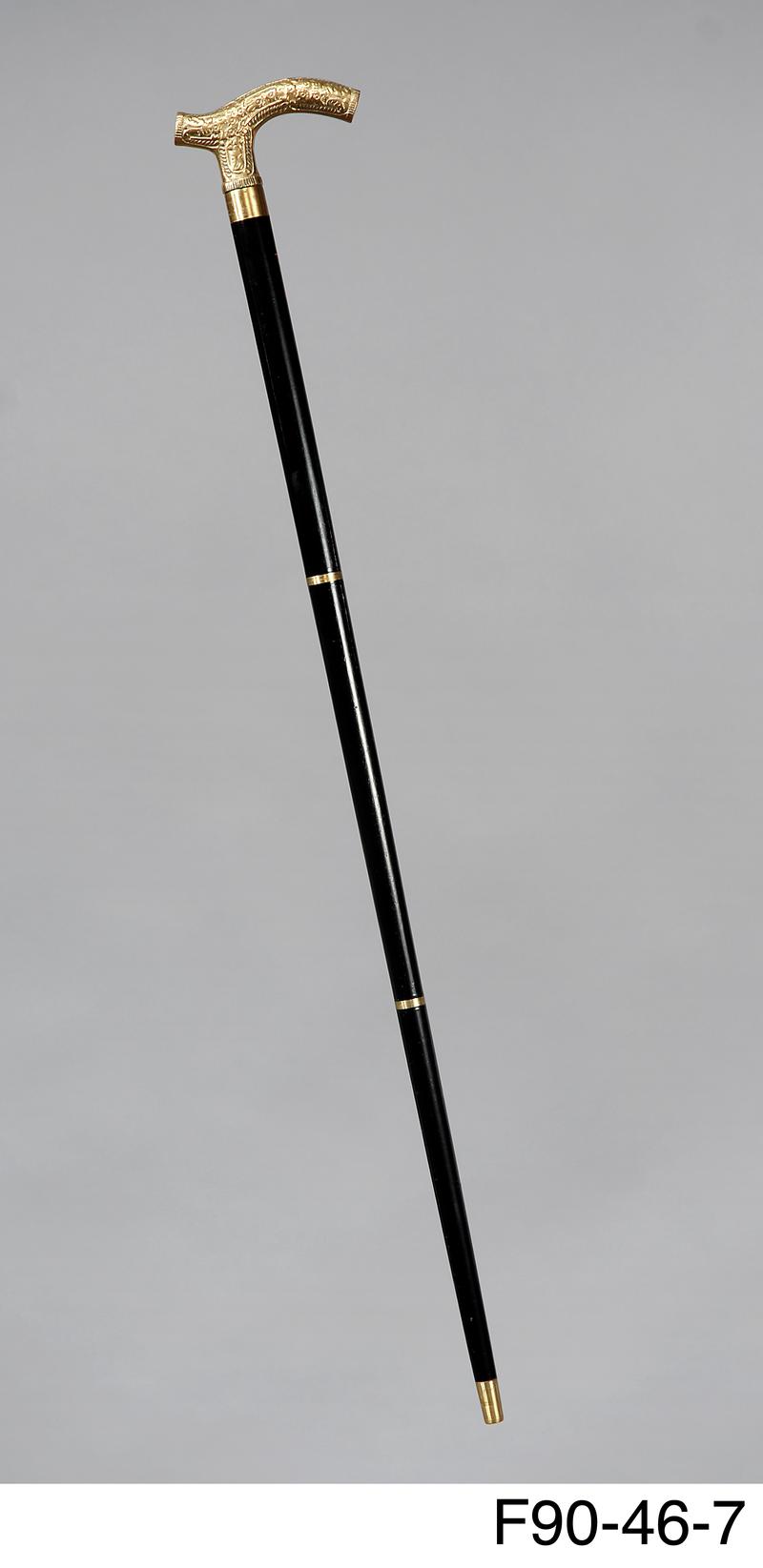 Walking stick