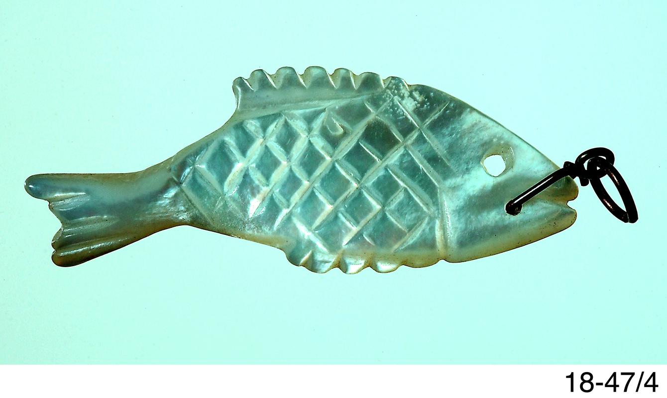 Fish shell amulet
