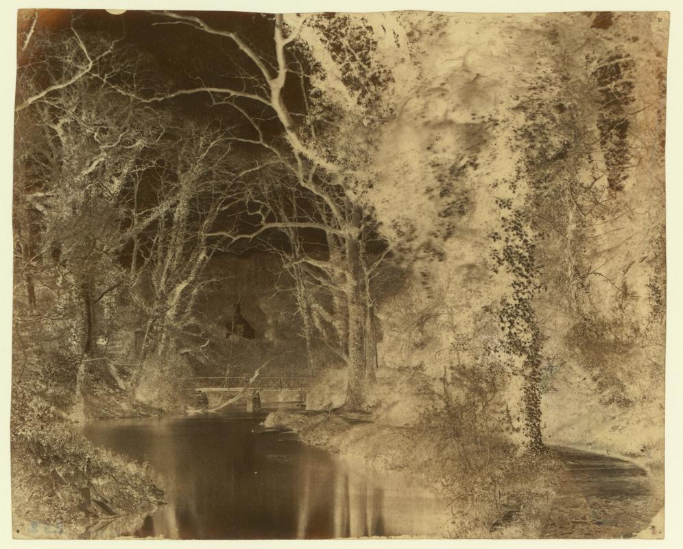 Penllergare, river above upper lake, negative