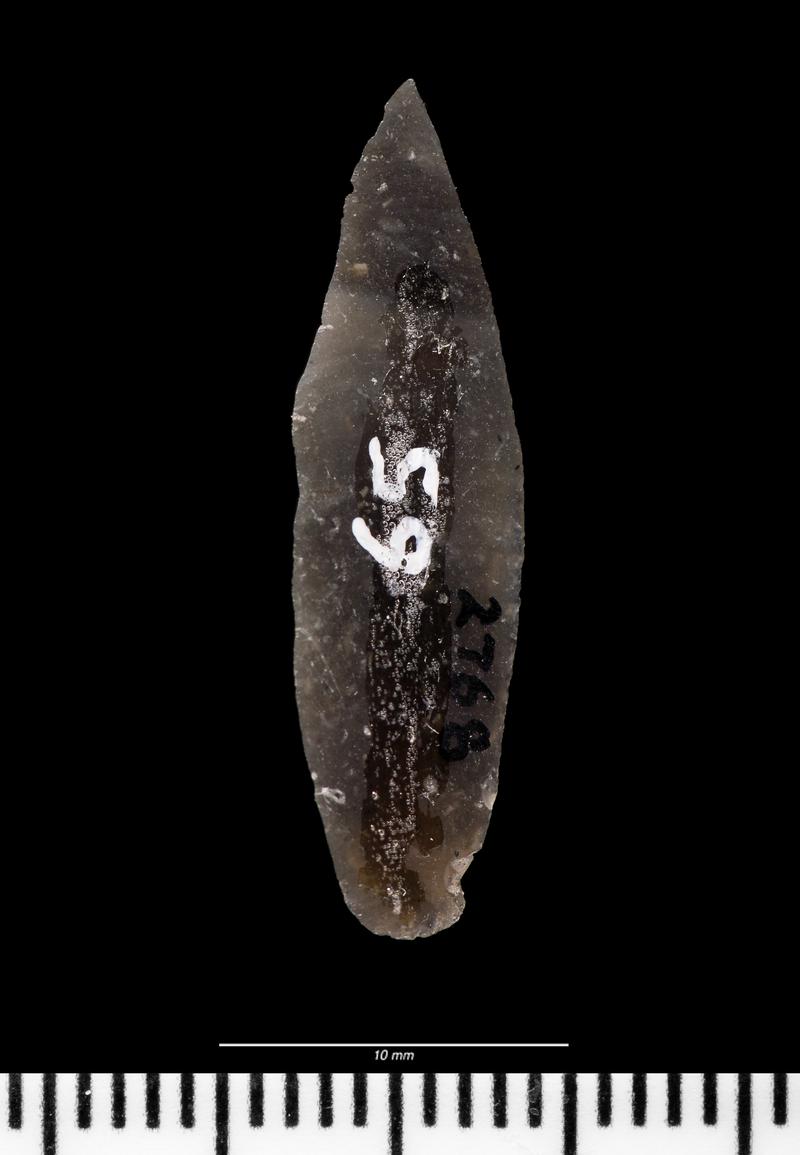 Late Mesolithic flint microlith