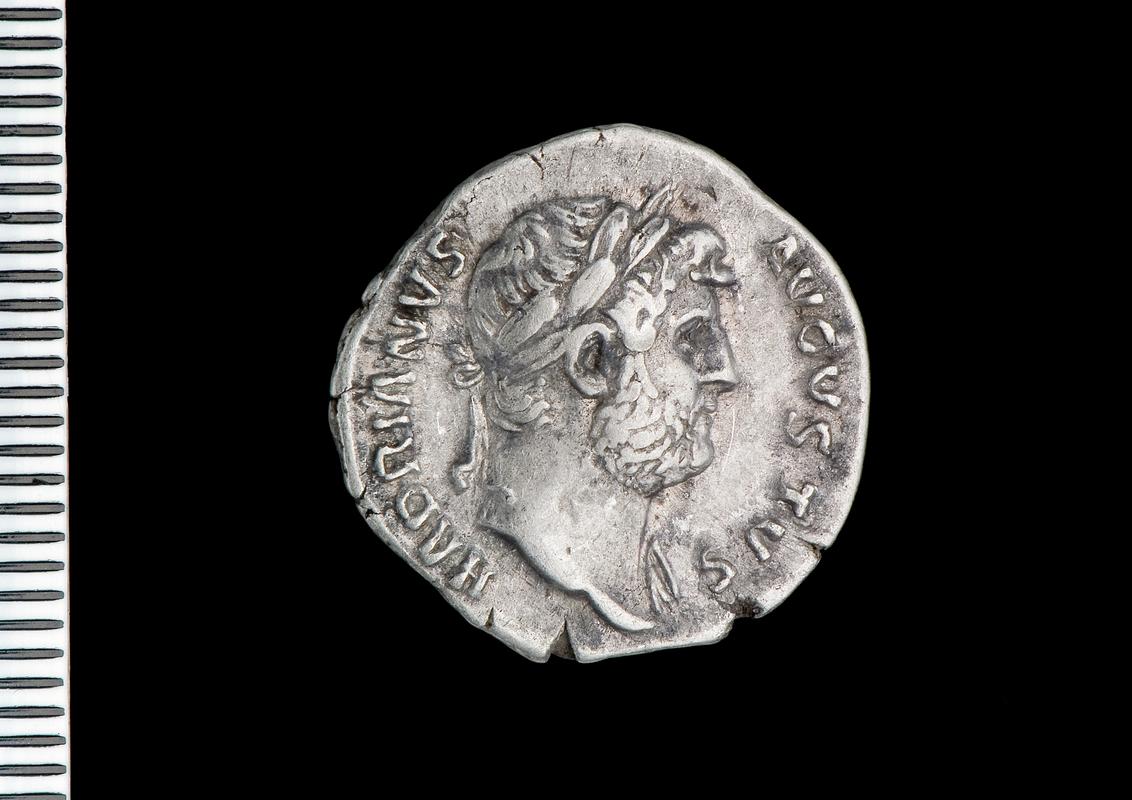 silver denarius (obv.)