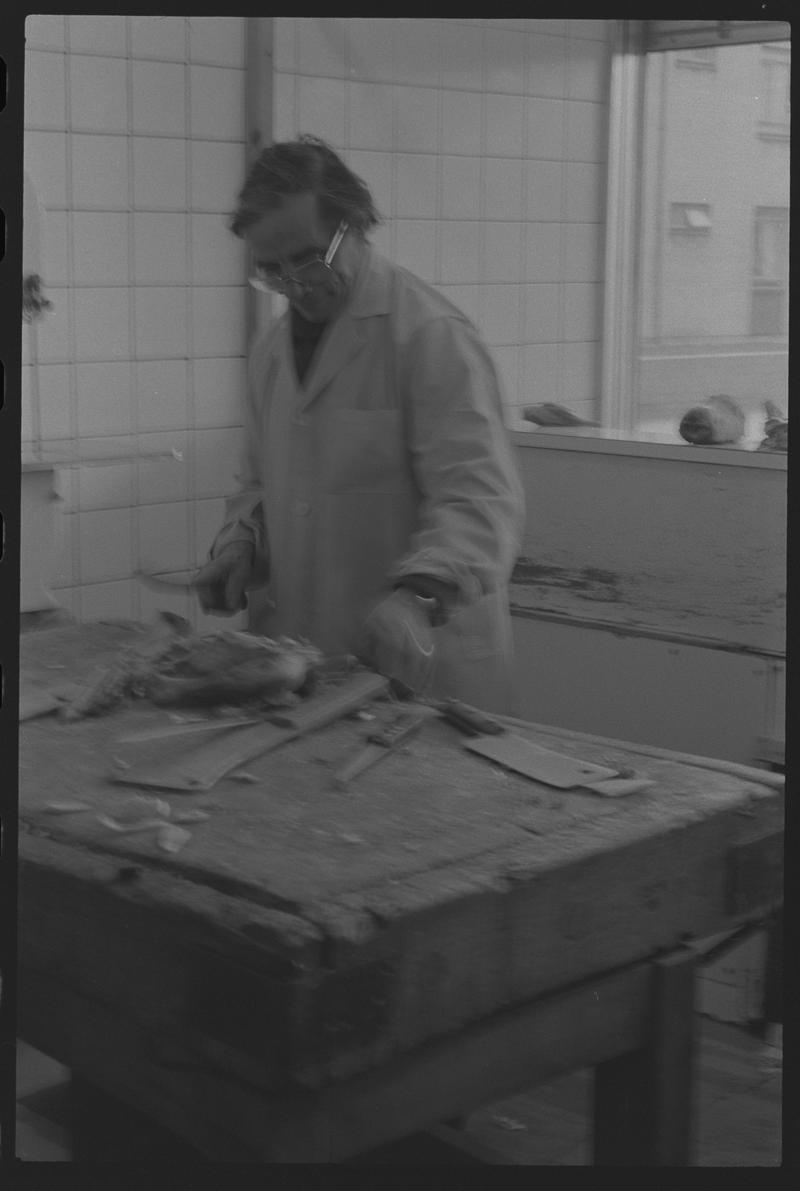 Butcher cutting up meat in shop, Loudoun Square, Butetown.