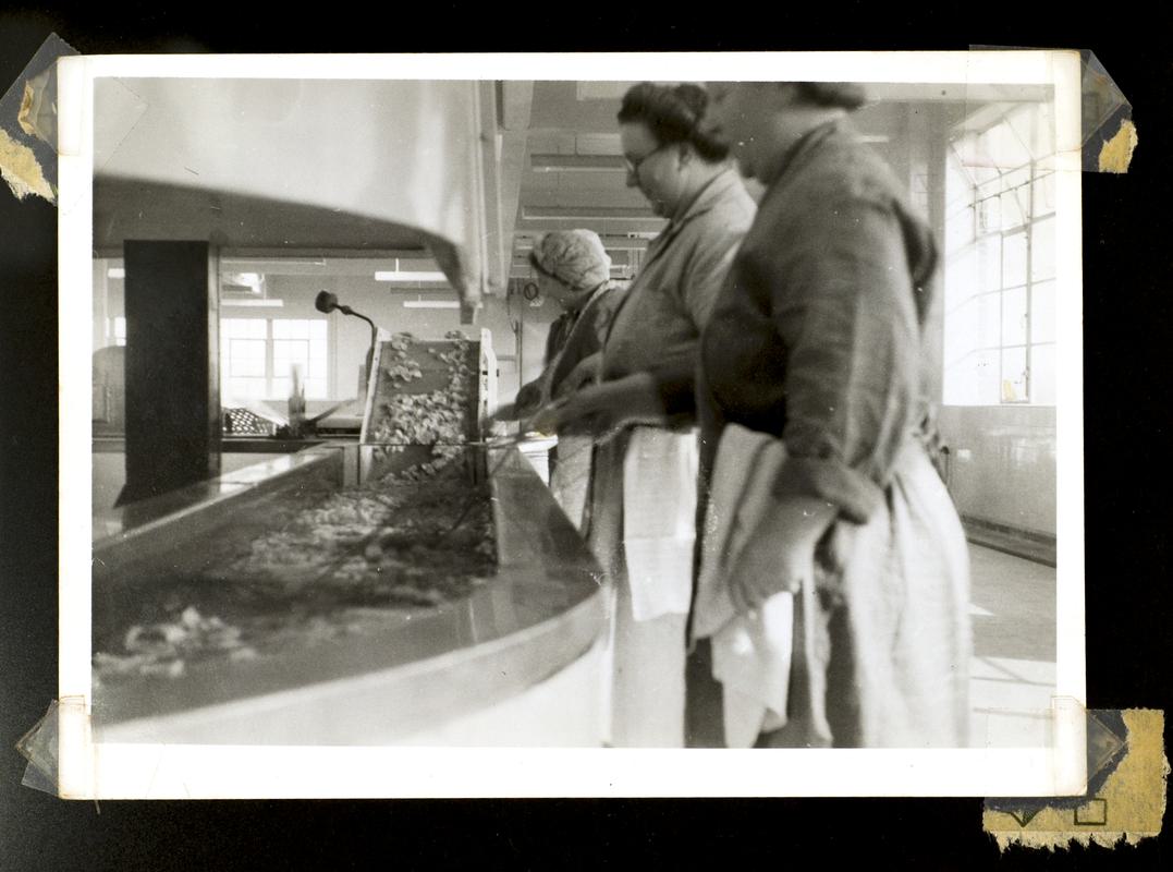 Smith's Potato Crisp Limited staff frying, photograph