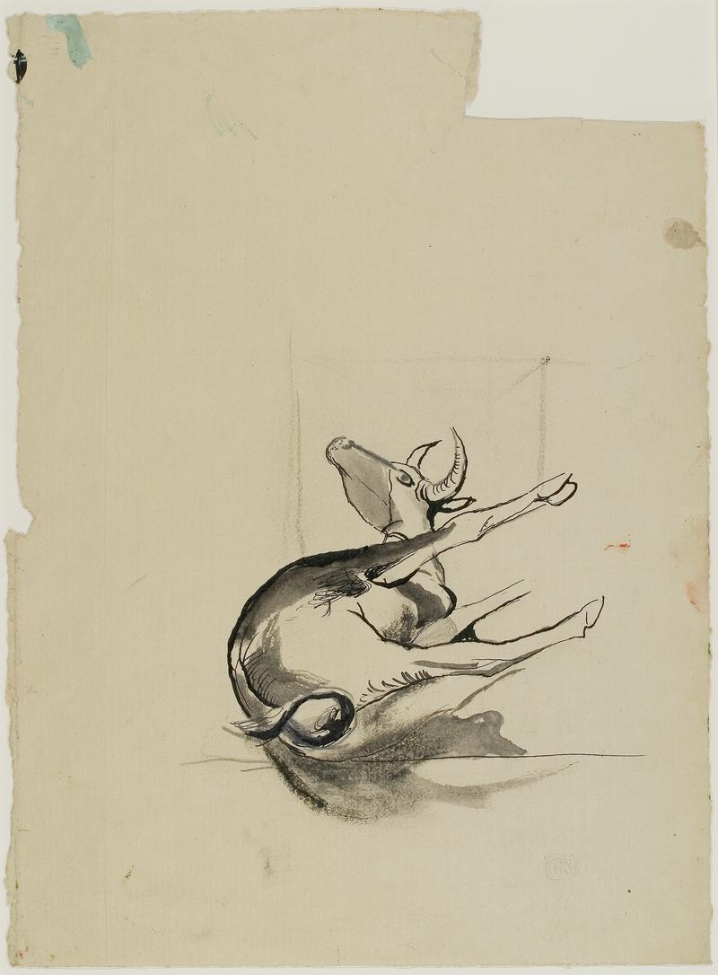Study for cow