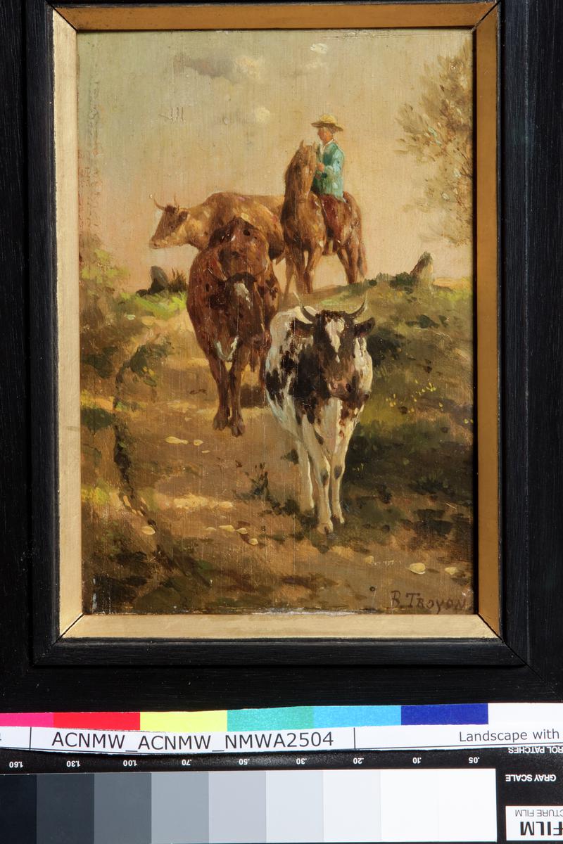 Landscape with cattle