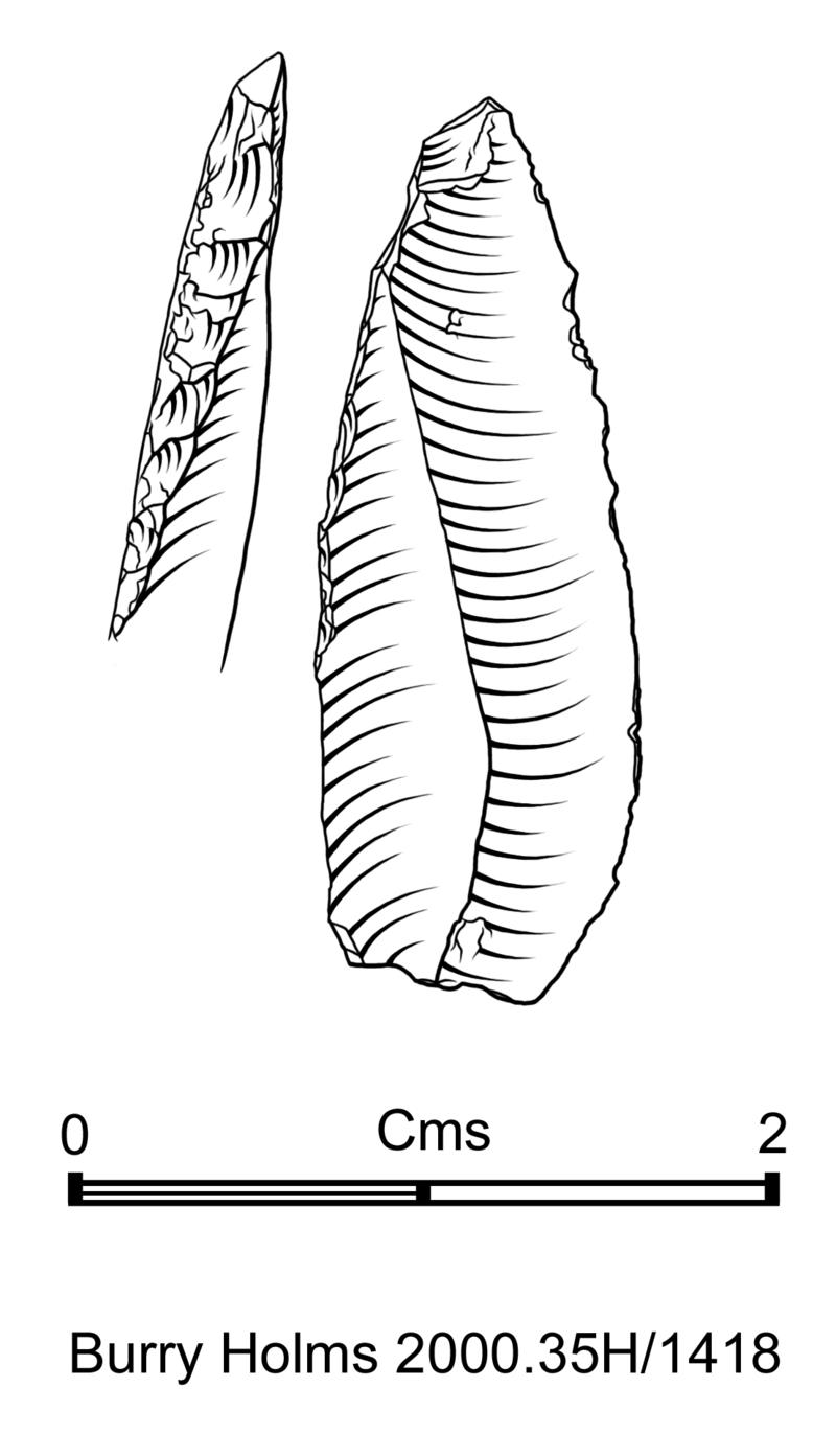 Early Mesolithic flint microlith