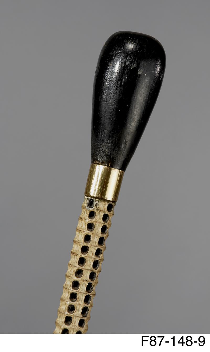 Walking stick