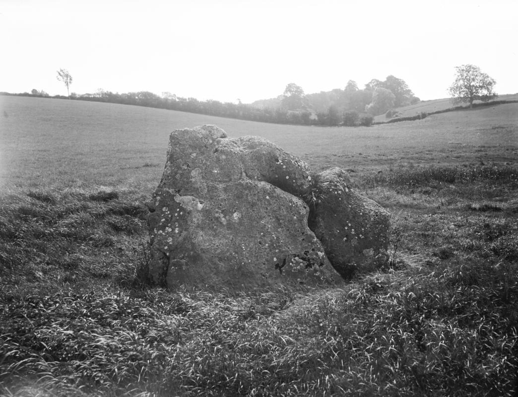 Photographic Negative