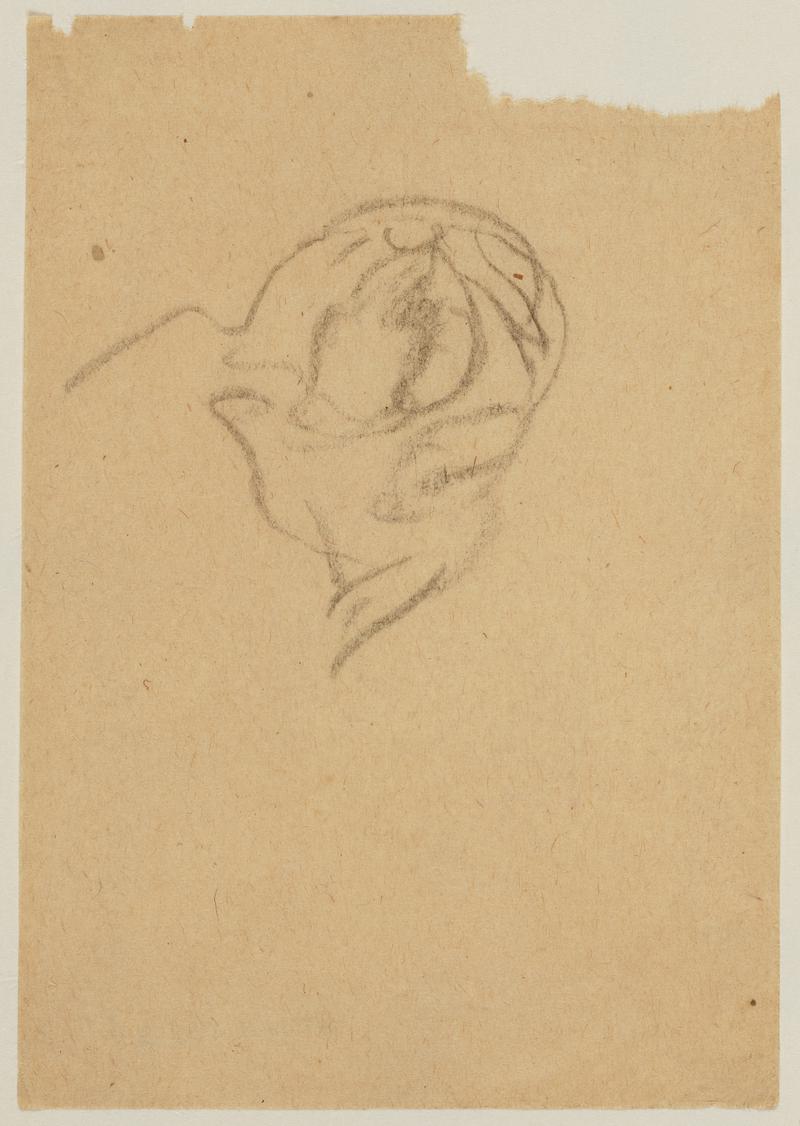 Study of Right Side of Man&#039;s Head