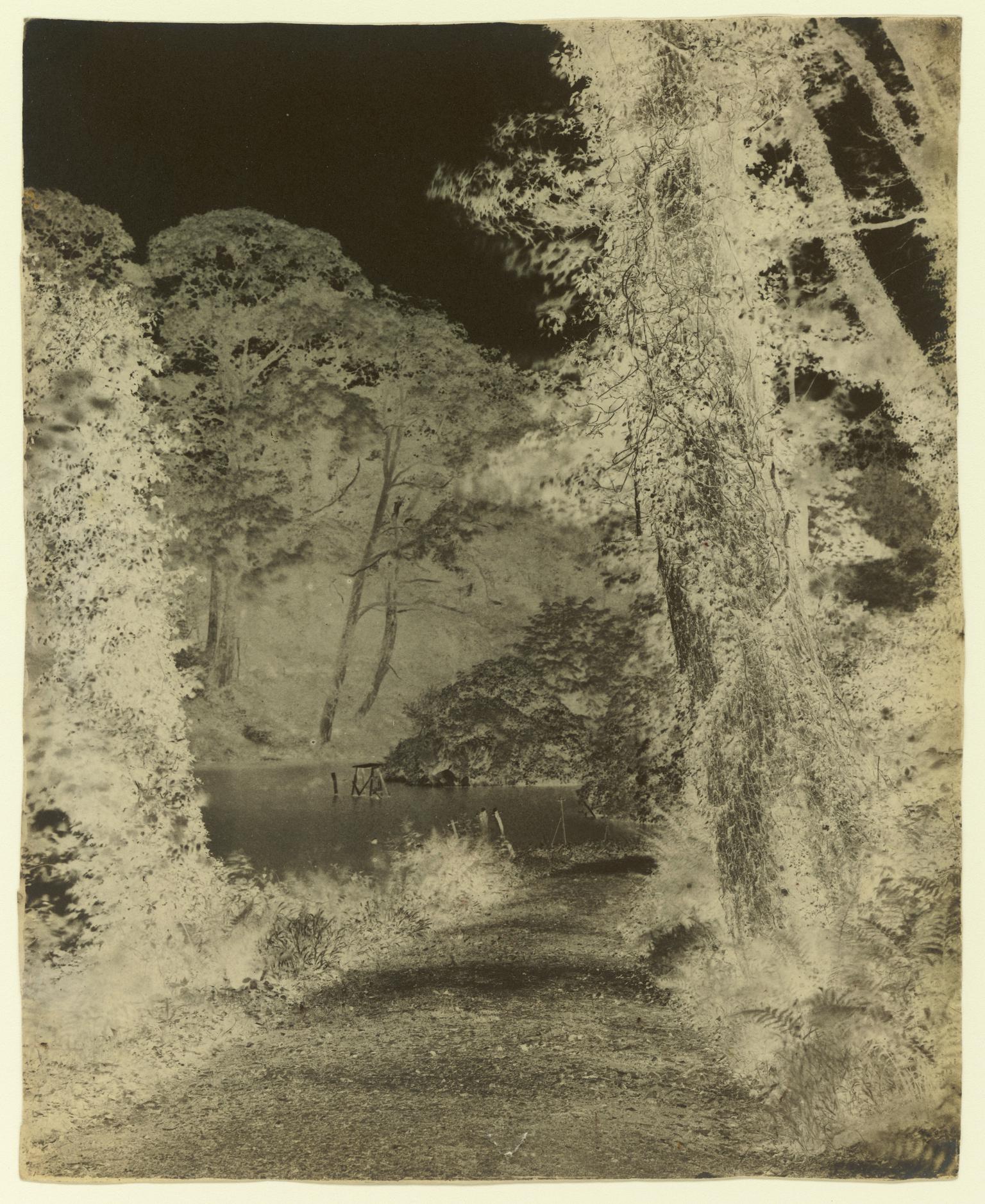 Penllergare, upper lake, paper negative