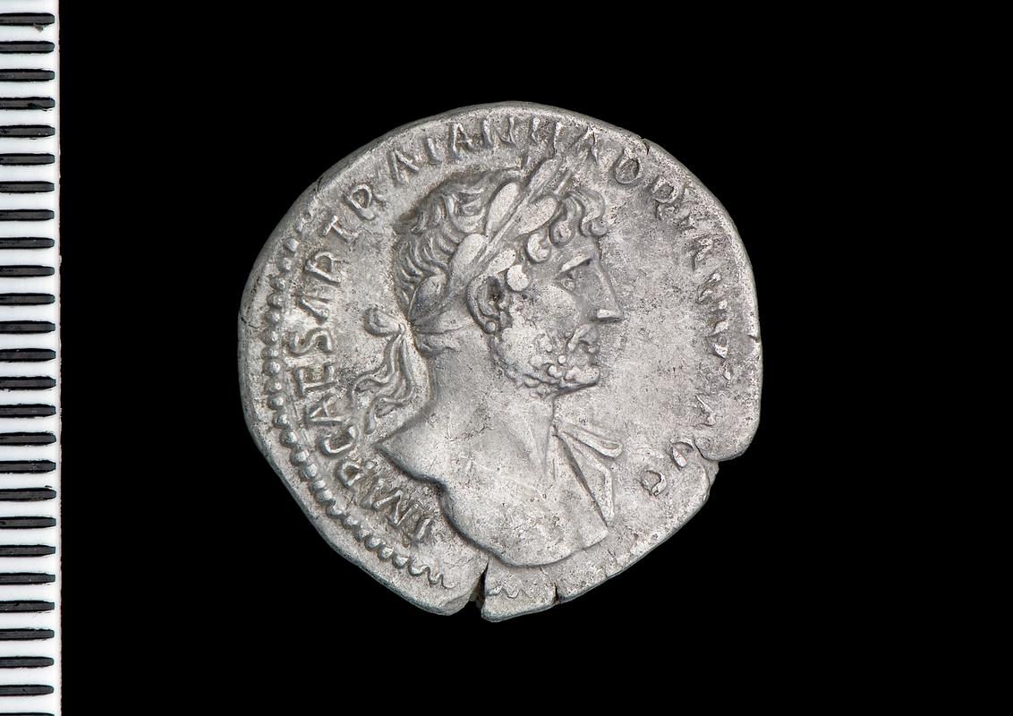 silver denarius (obv.)