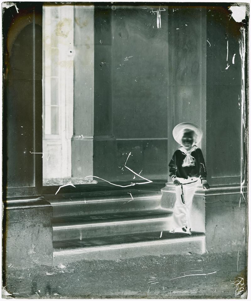 Penllergare, negative