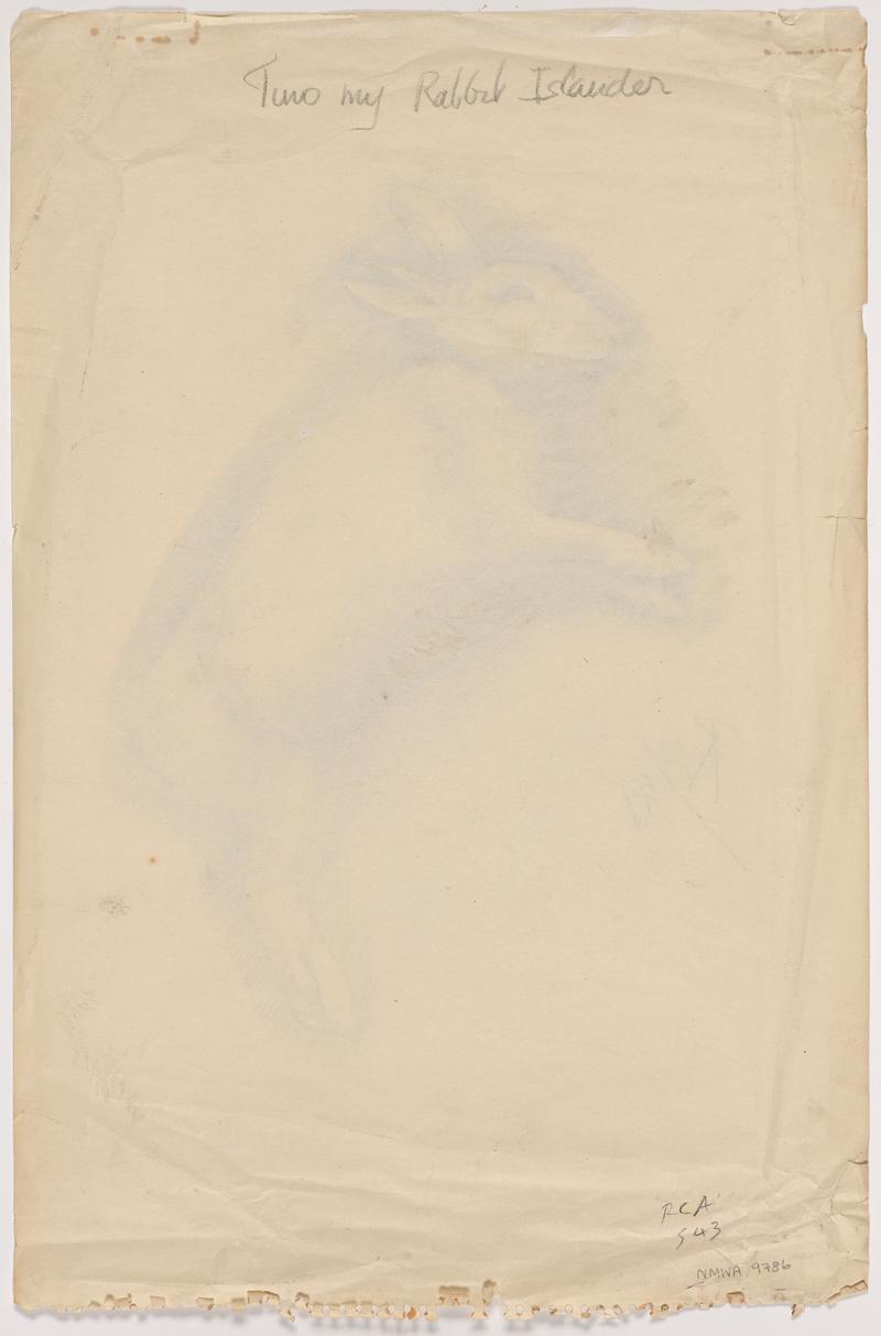 Tino my rabbit Islander, 1949