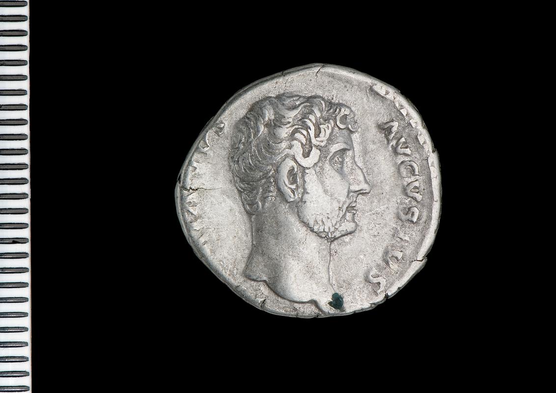 silver denarius (obv.)