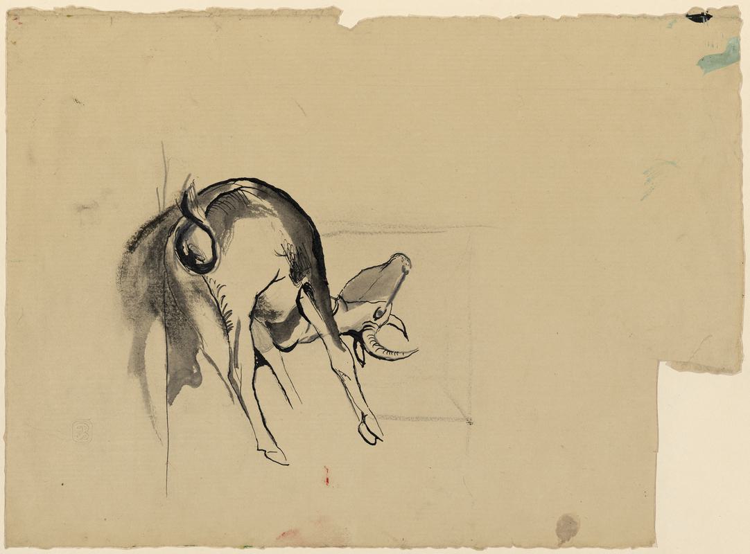 Study for cow