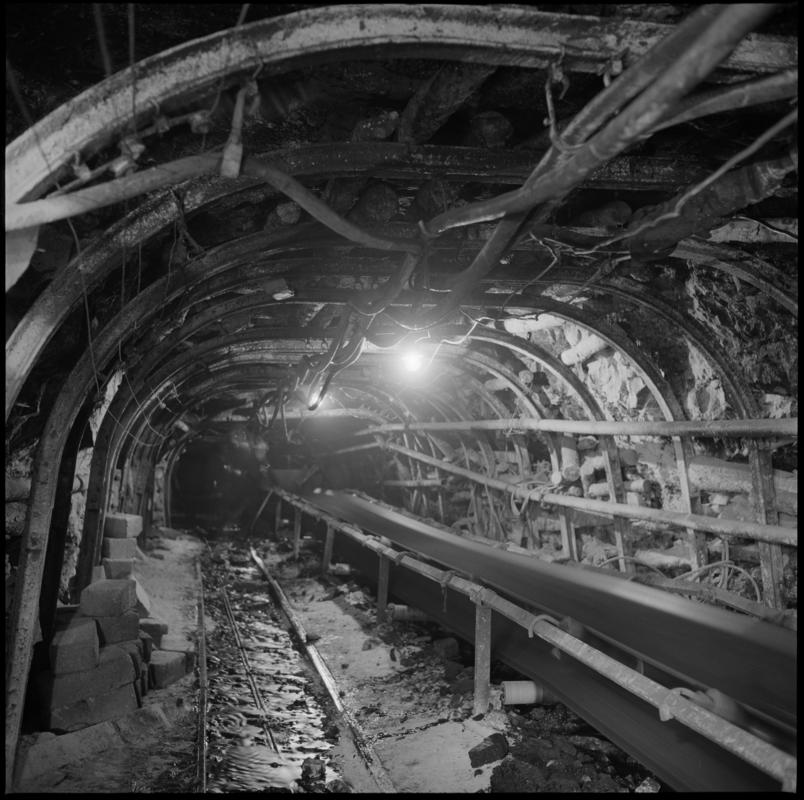 Onlayn porno chaqaloqlarni tomosha qiling