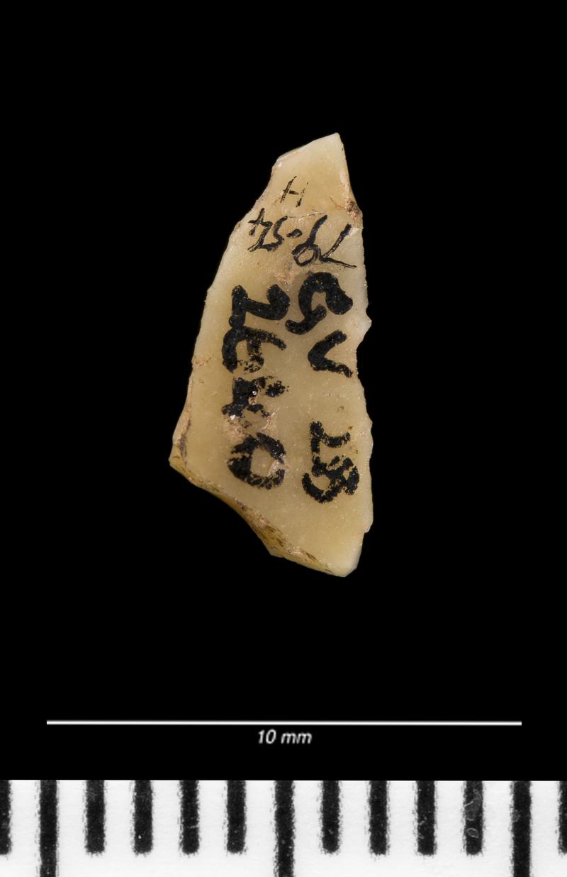 Mesolithic flint microlith