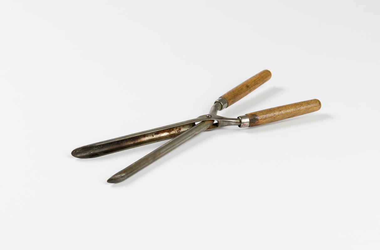 Curling tongs
