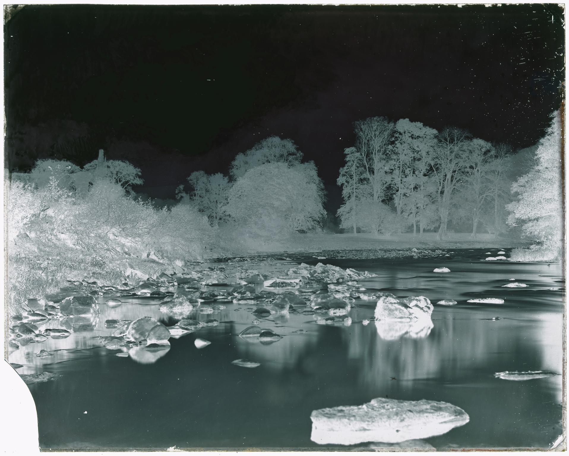 The Wharfe at Bolton Abbey (glass negative)