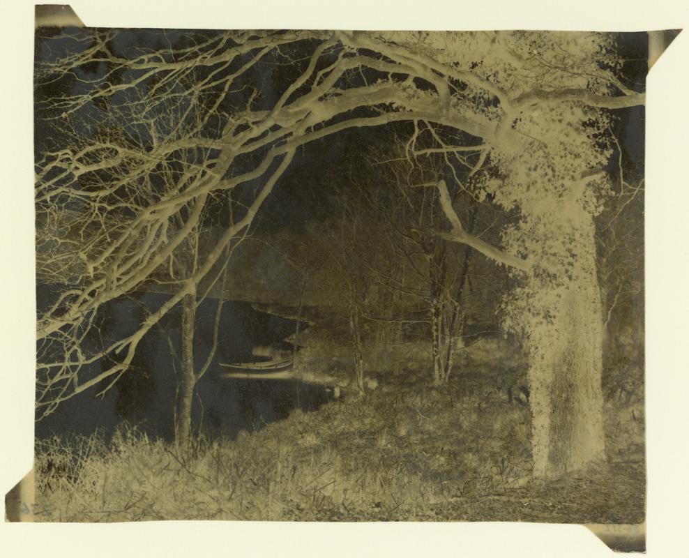 Penllergare, lower lake, paper negative