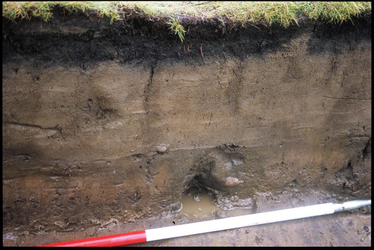 Burry Holms, Gower. 2001 Trench 4. Section at the north of the trench. Sequence shot 14.