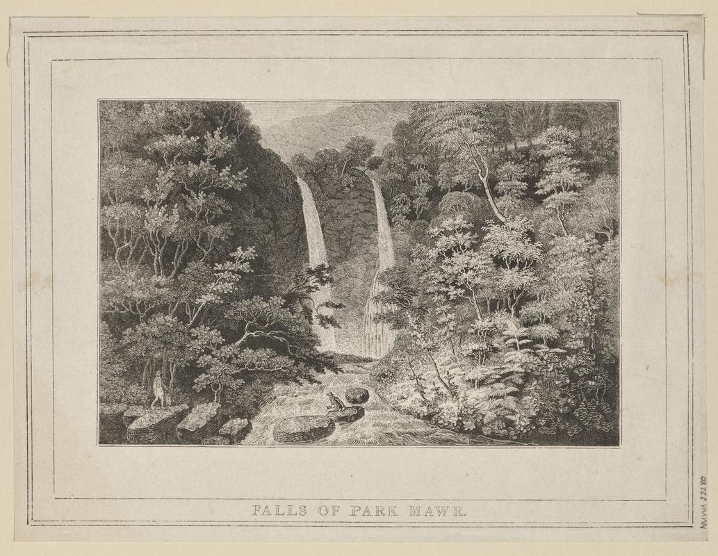 Falls of Park Mawr
